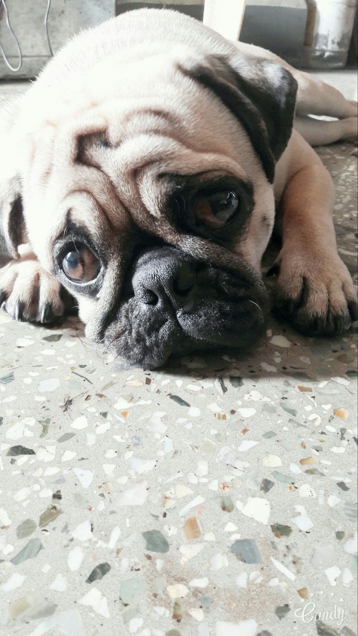 waiting for someone :)