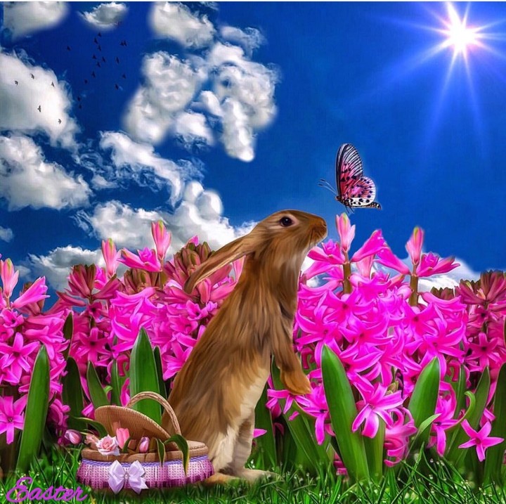 Happy Easter ☘️☘️☘️❤️