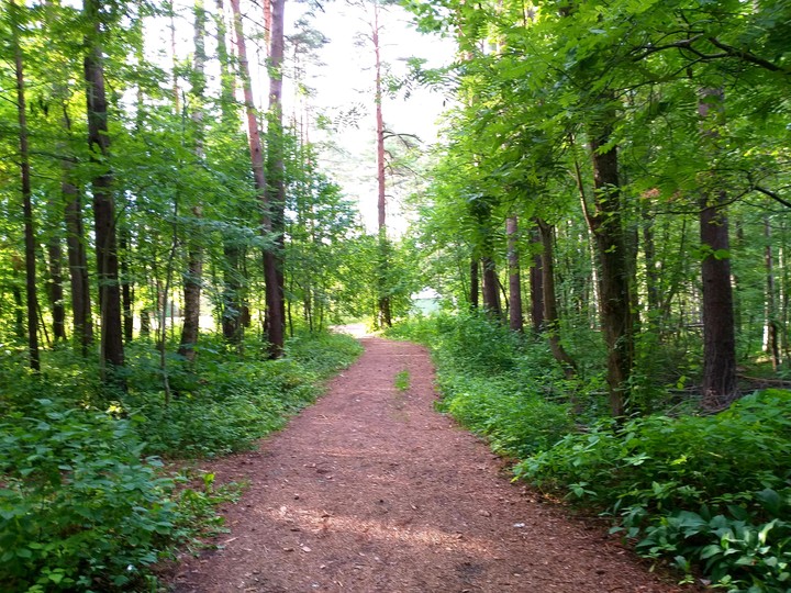 06.07.2019 г.