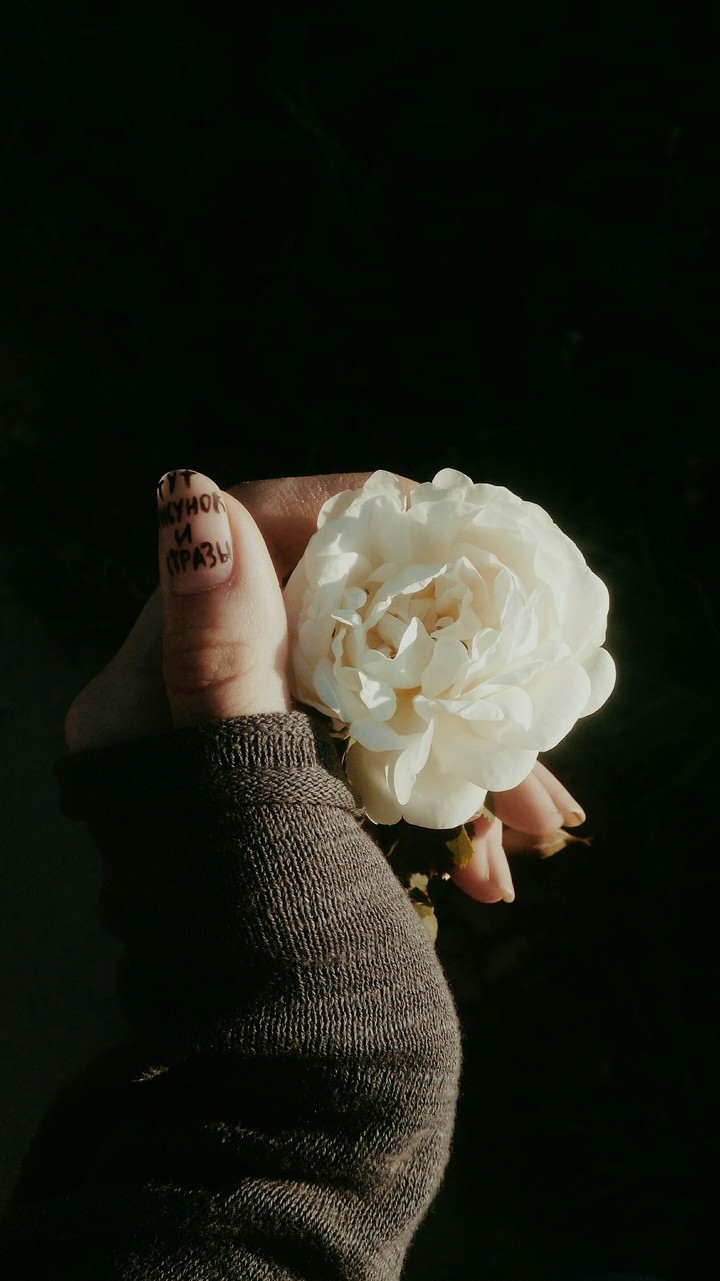 #Rose