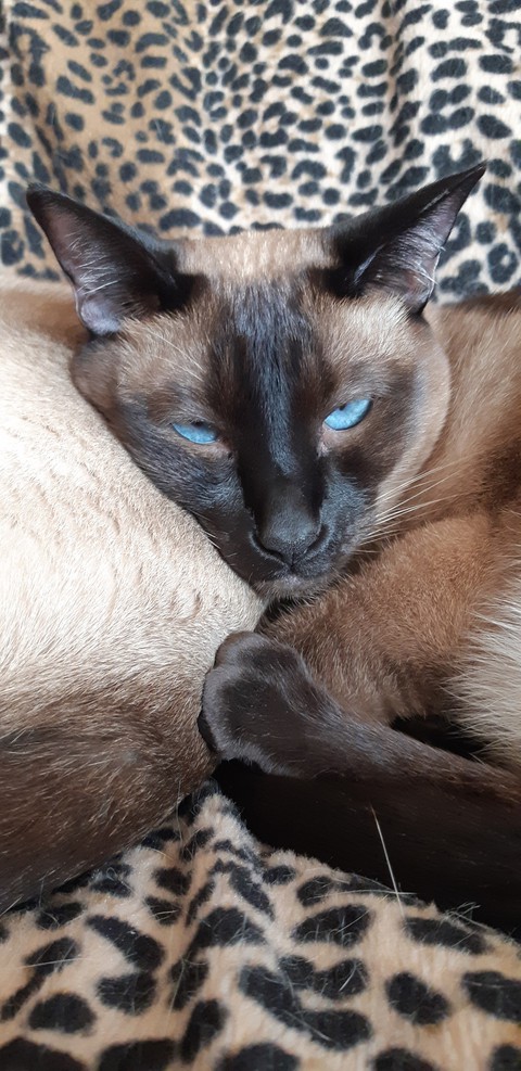 Back to sleep ?