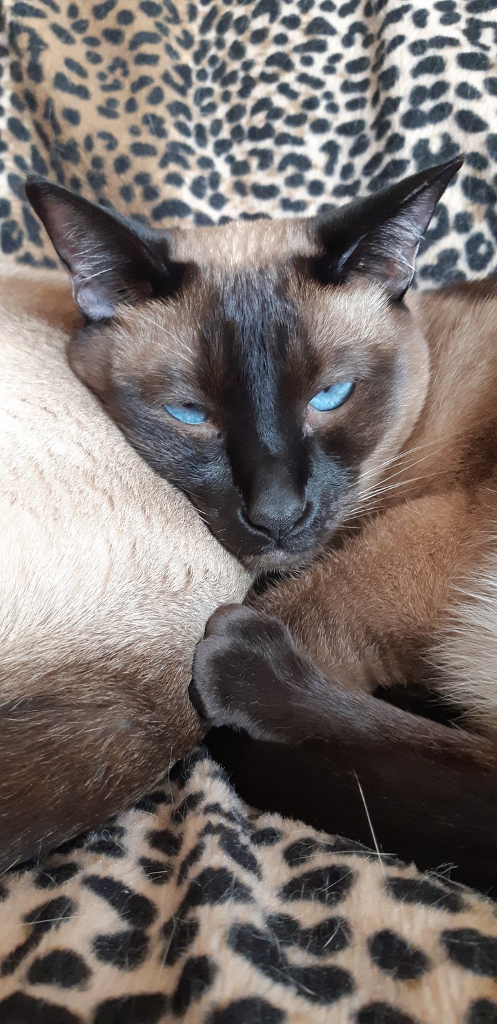 Back to sleep  ?