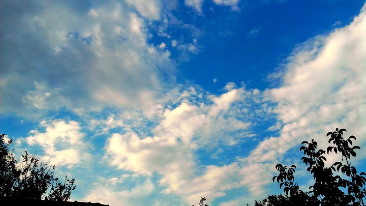 peaceful
