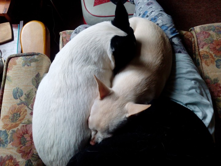 spoons  :-)