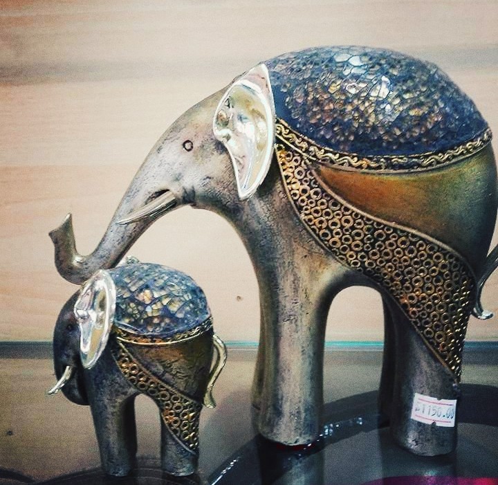 Indian Elephant