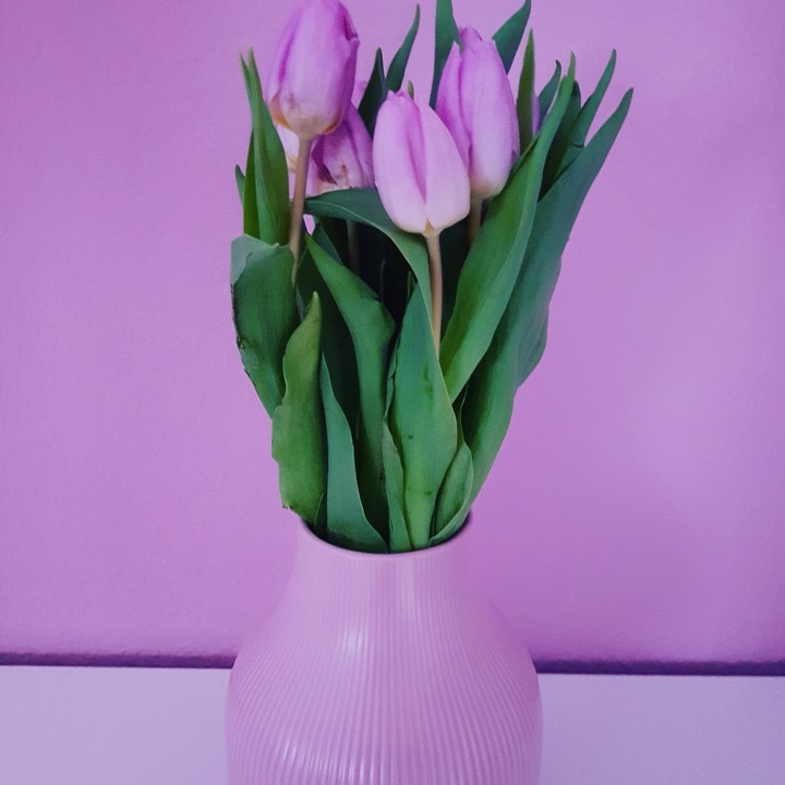 love Tulpen