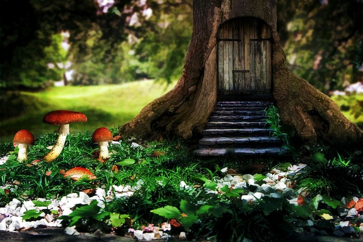 nature