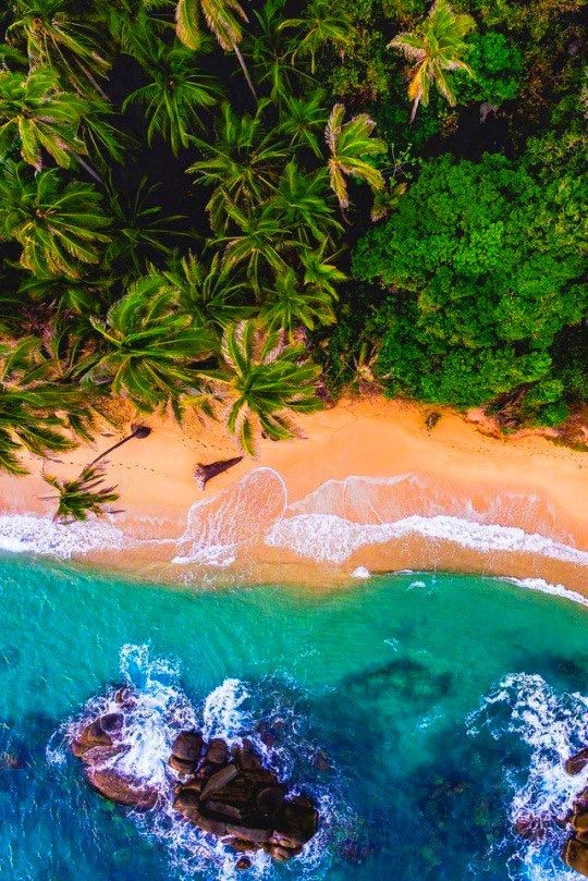 beach