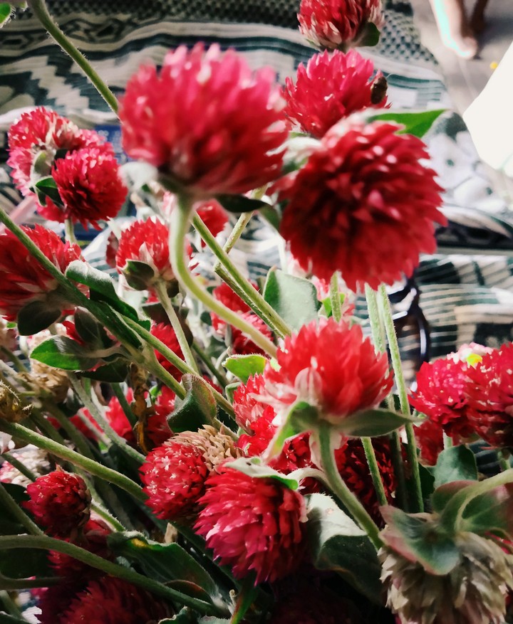flower at festivals