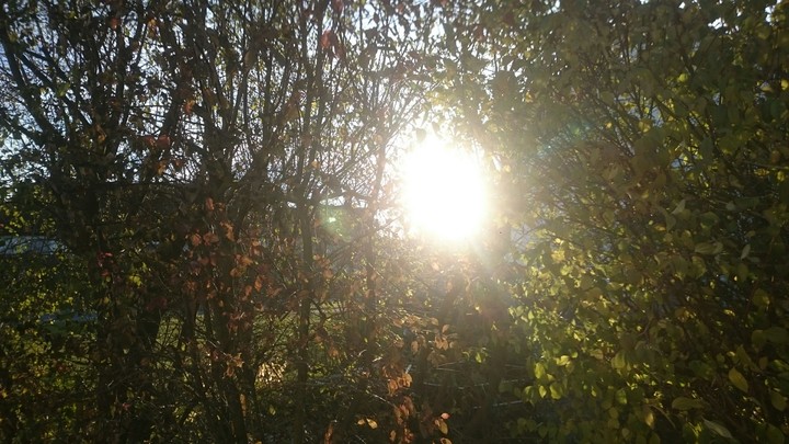 sun goes down