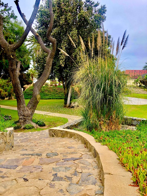Quinta Papagayo
