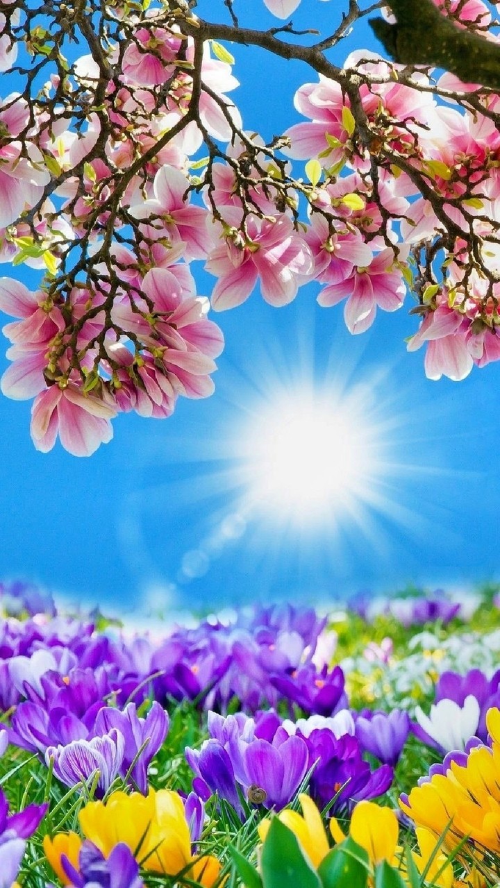 spring