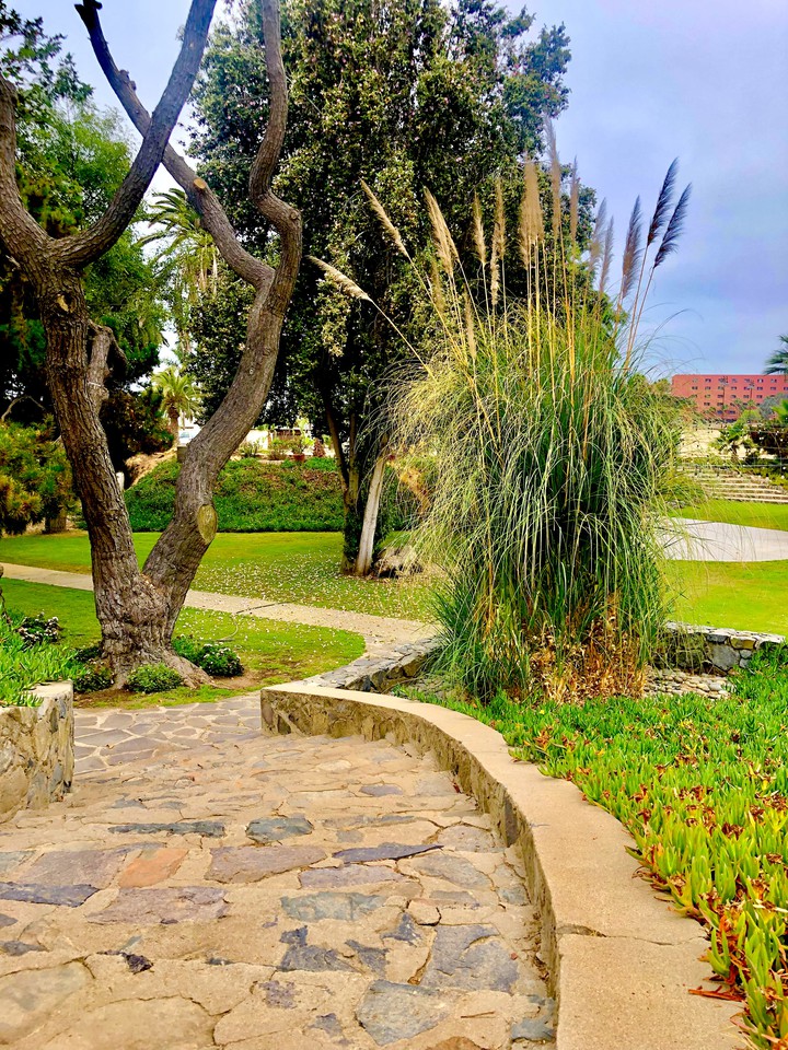 Quinta Papagayo