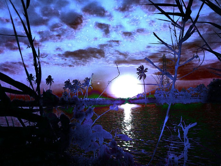 nature :calming our minds