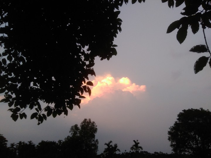 evening