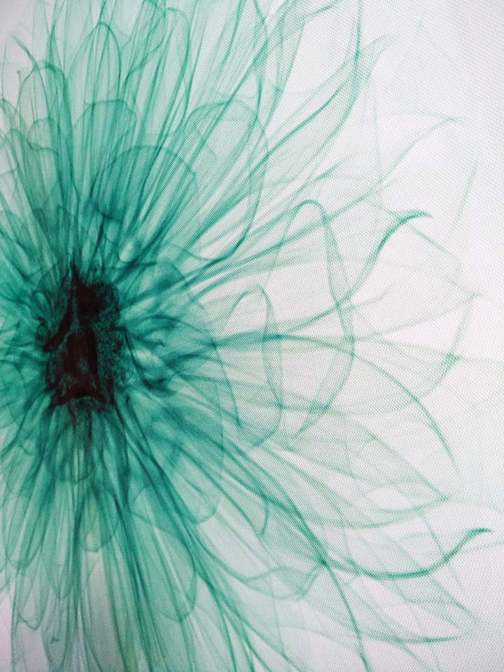 Teal flower