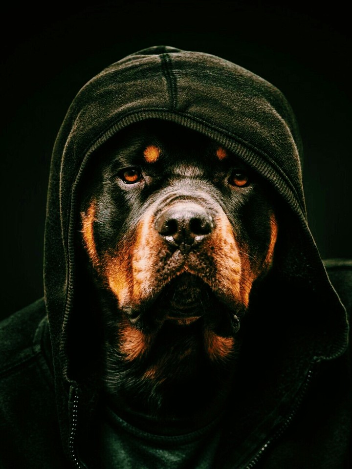 Gangster