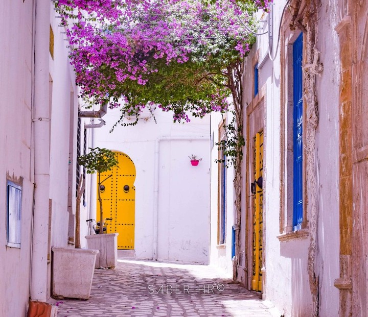 تونس tunis