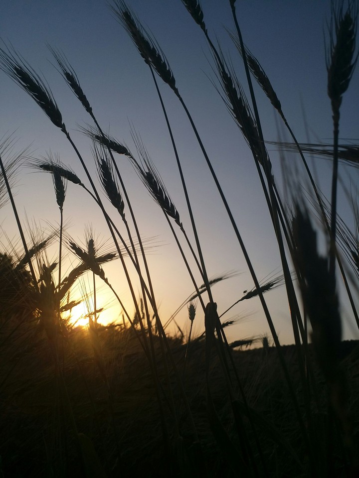 kurdistan_iran