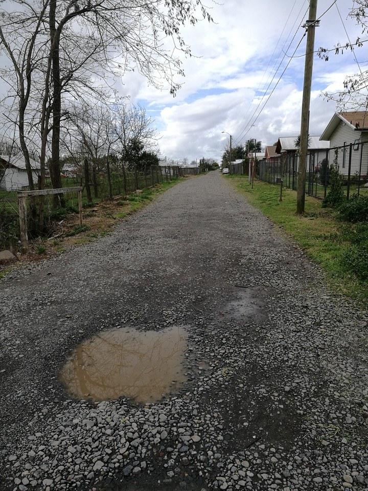 camino