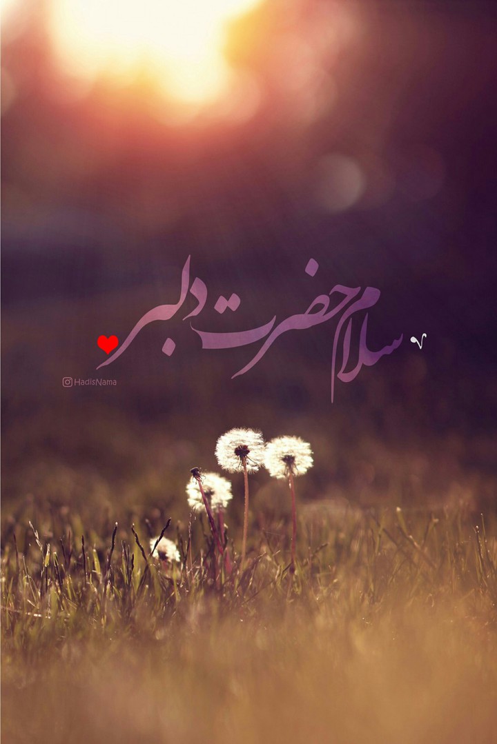 سلام حضرت دلبر