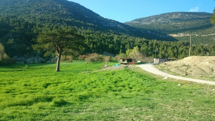 way to home