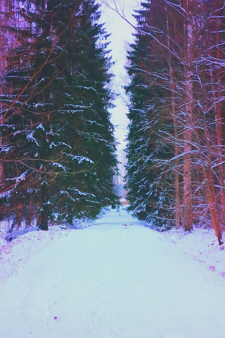 only forward