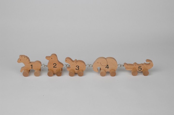 Toy
