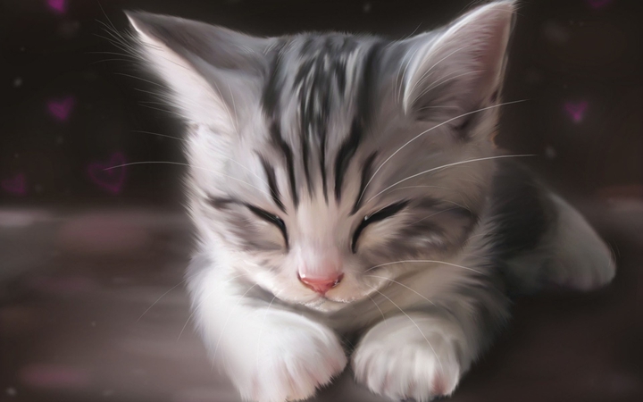 나의 냥이♡
