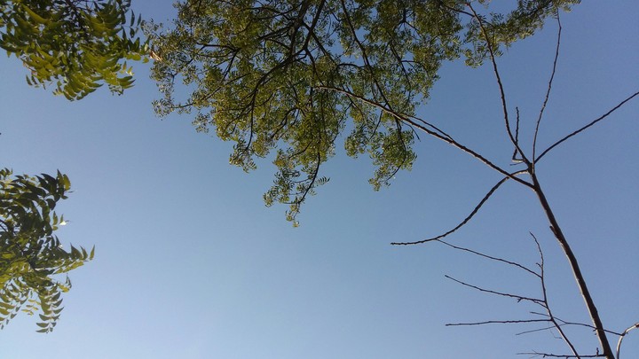 sunroof