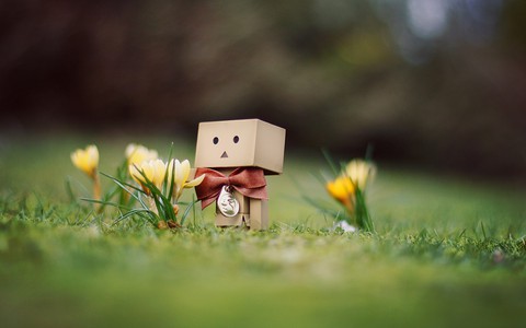 flores