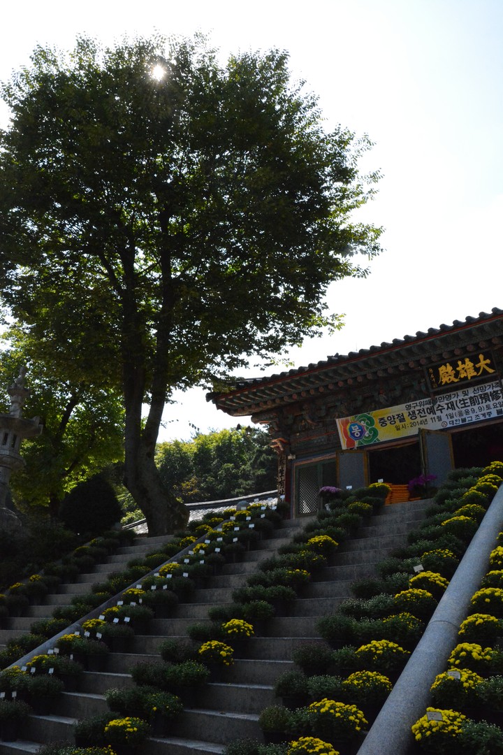 풍경이미지
