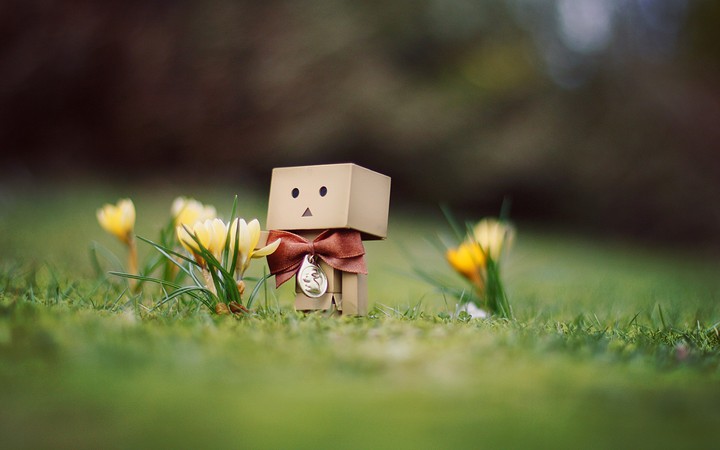 flores