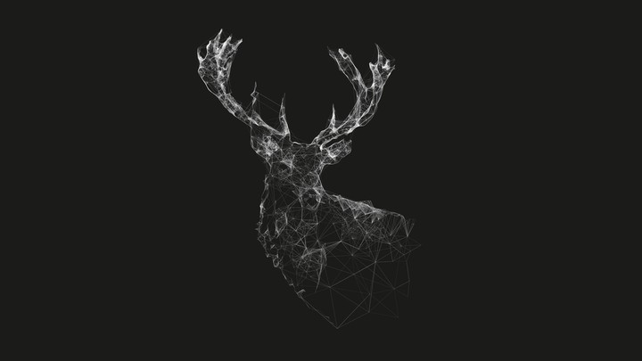 Deer in black