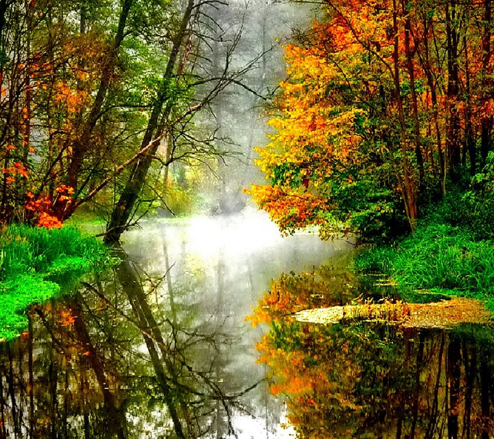 Nature's Love