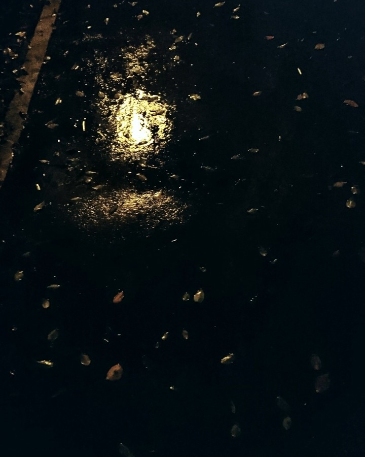 lonely