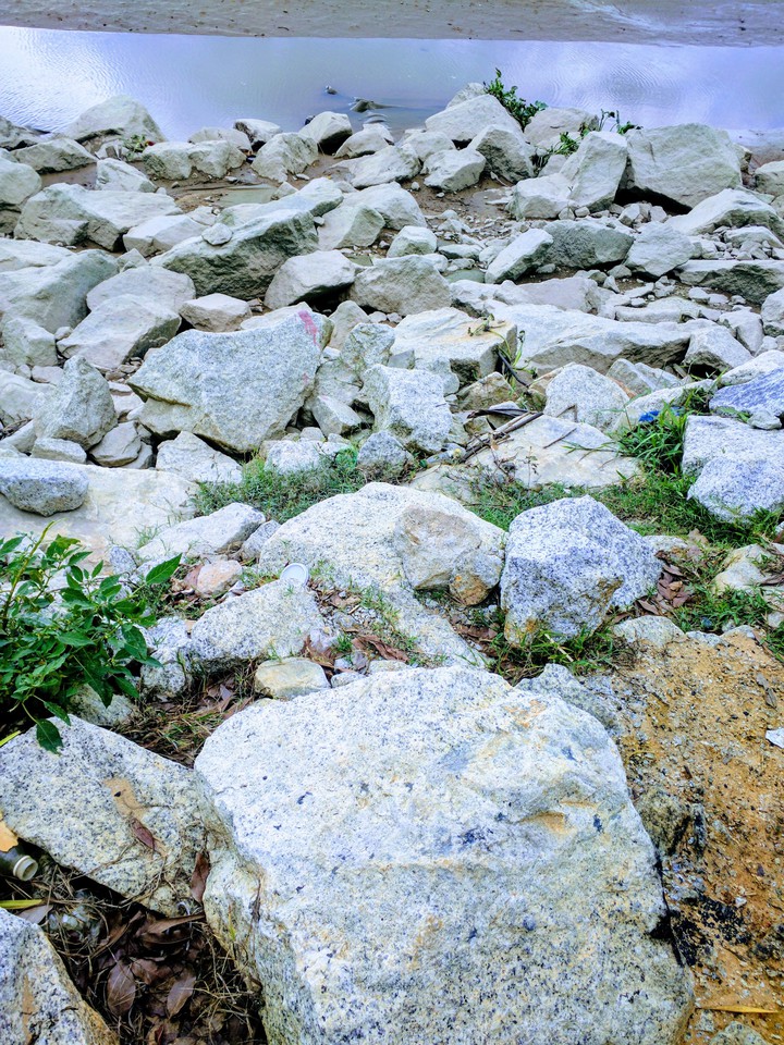 Even stones have a love, a love that seeks the ground.
