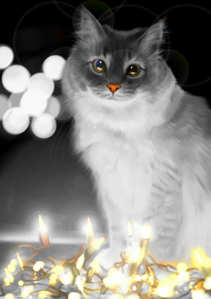 ..cat..