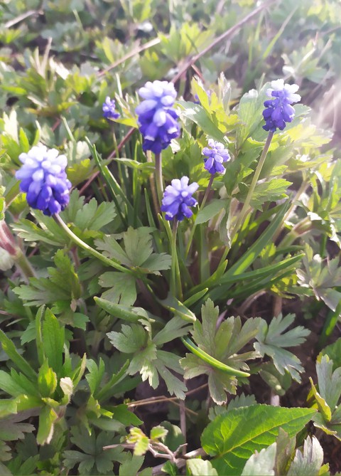 Весна. Spring.