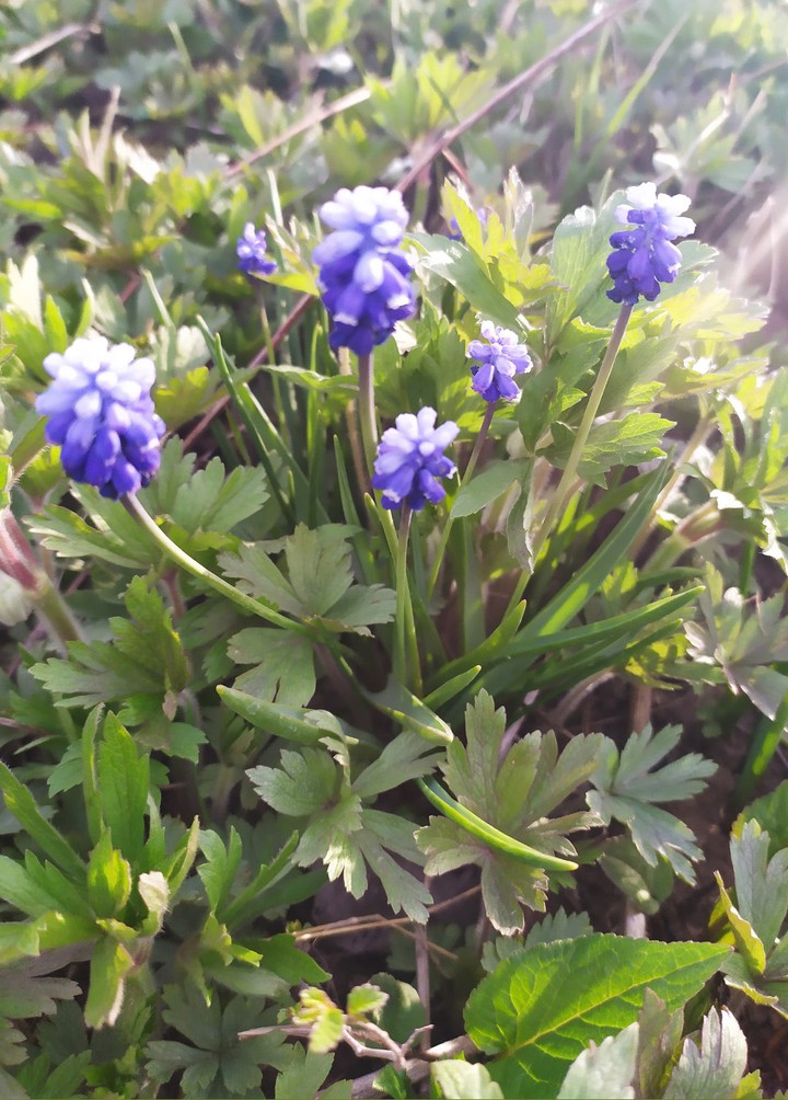 Весна. Spring.