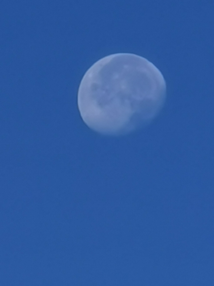 moon