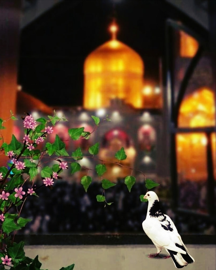 یا امام رضا علیه السلام ✋
