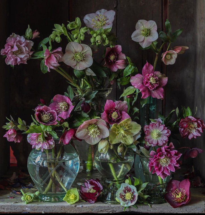 bouquet