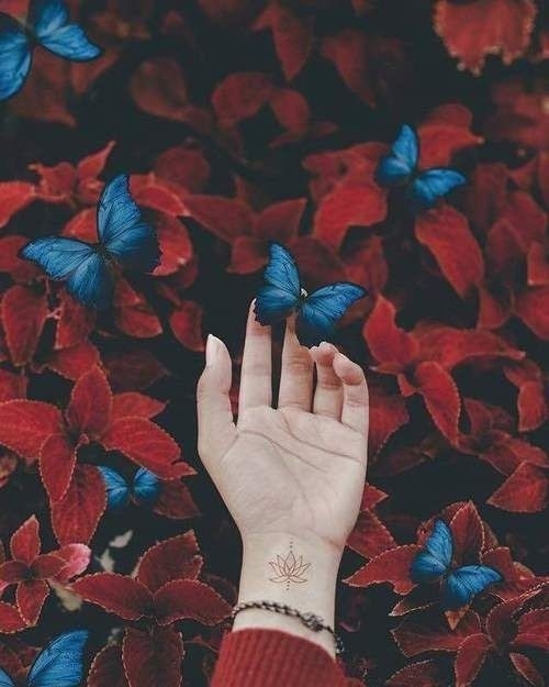 Beautiful 