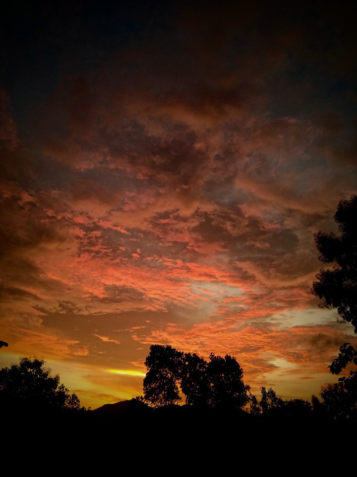Evening