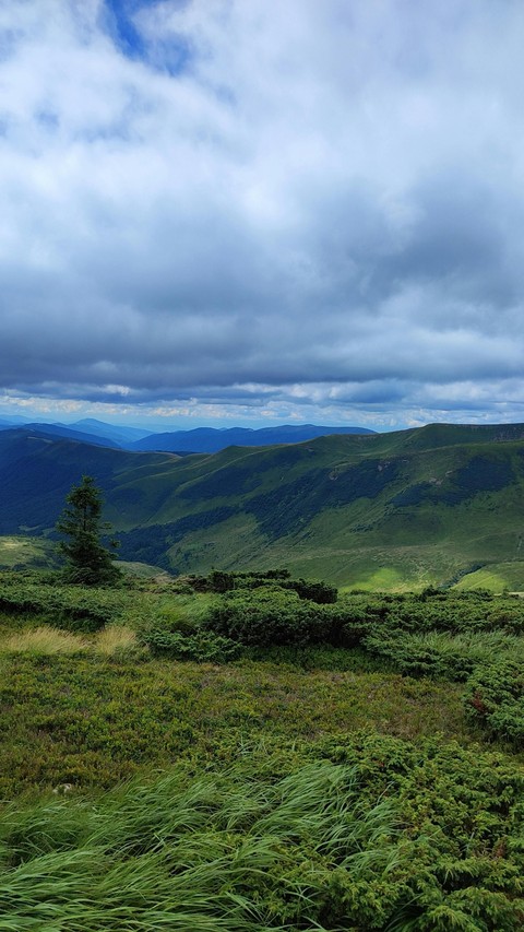 sfondi green, blue
