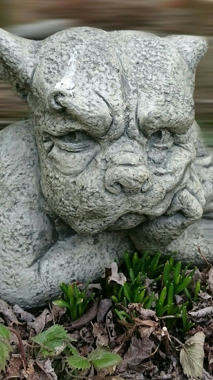 Gargoyle