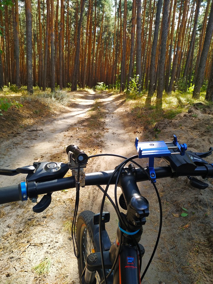 Вело Лес