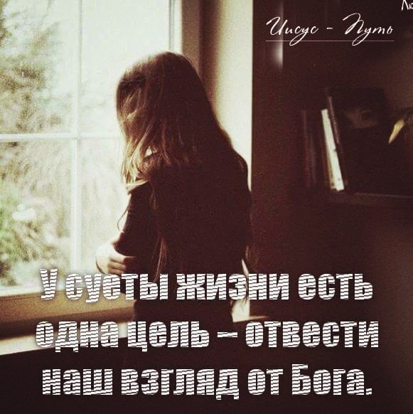 суета жизни