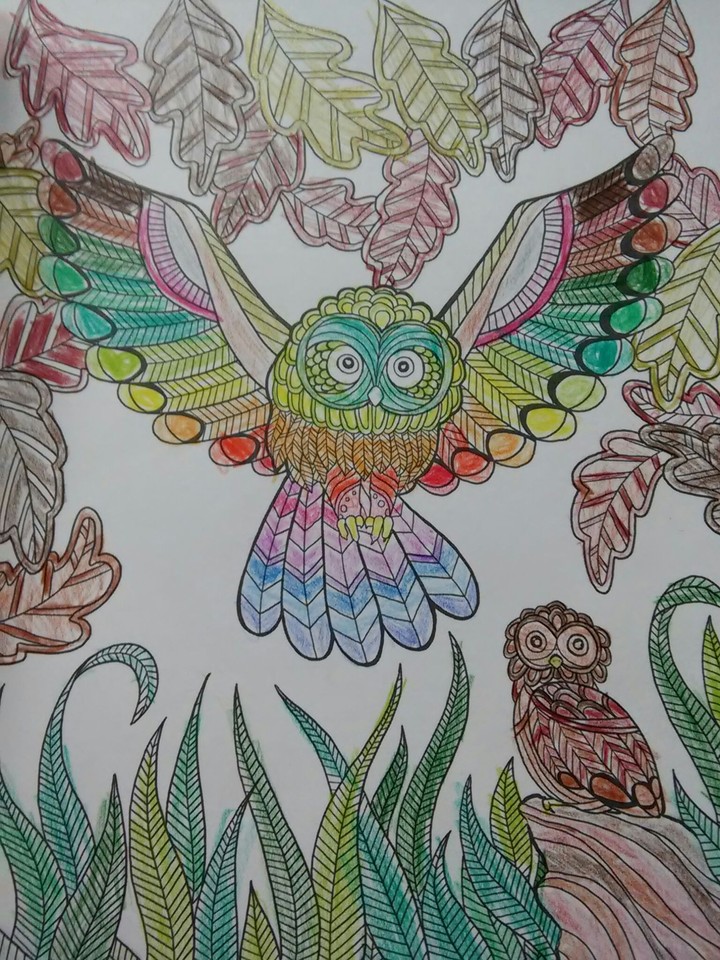 부엉이